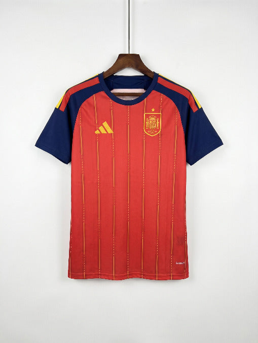 Spain World Cup Home