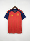 Spain World Cup Home
