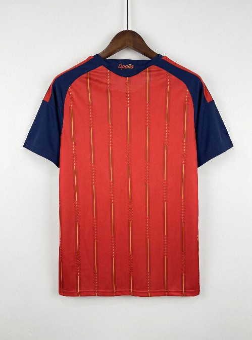 Spain World Cup Home
