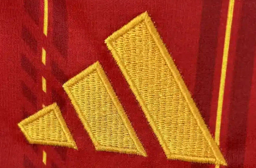 Spain World Cup Home