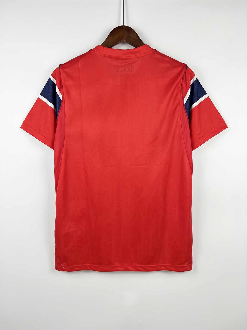 Norway National Team 2026 Home